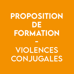 formation violences conjugales - CIDFF 04