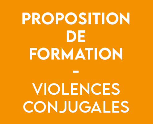 formation violences conjugales - CIDFF 04